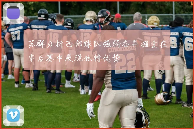 苏群分析西部球队强弱各异掘金在季后赛中展现独特优势