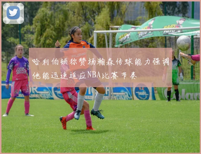 哈利伯顿称赞杨瀚森传球能力强调他能迅速适应NBA比赛节奏