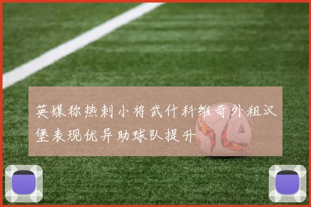 英媒称热刺小将武什科维奇外租汉堡表现优异助球队提升