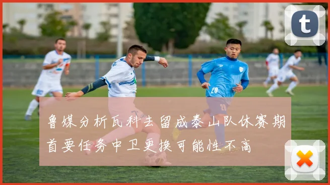 鲁媒分析瓦科去留成泰山队休赛期首要任务中卫更换可能性不高