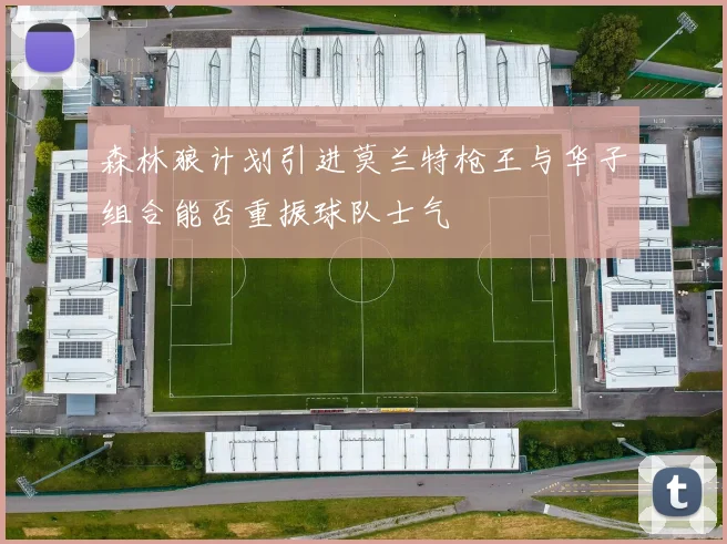 森林狼计划引进莫兰特枪王与华子组合能否重振球队士气