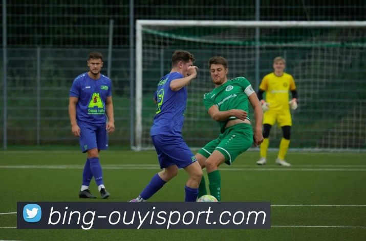 欧亿体育服务体系